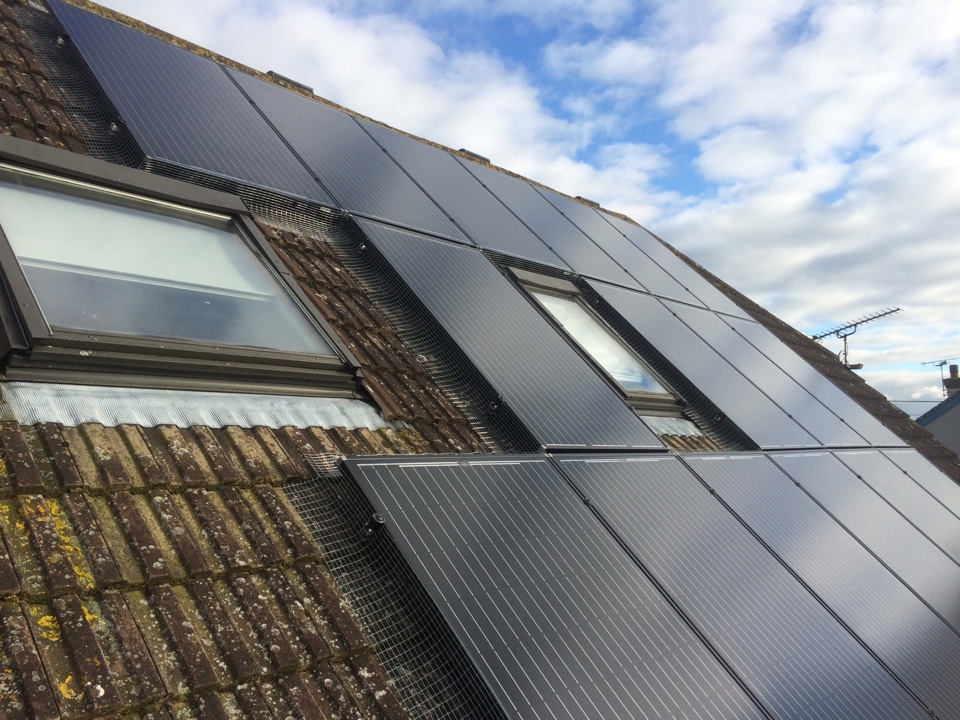 Solar panel bird protection