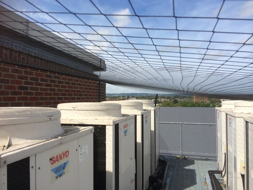 Bird Control pigeons and seagull netting.