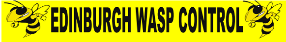 Wasp Control