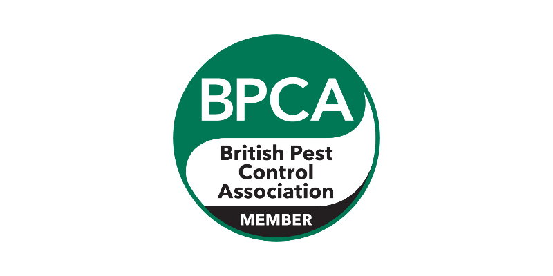 Pest Control Service Glasgow