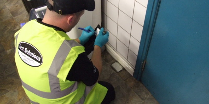 Pest Control Service Glasgow