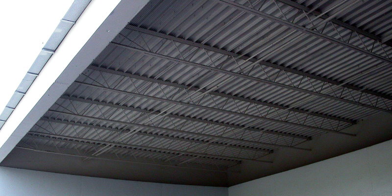 Bird Control Service