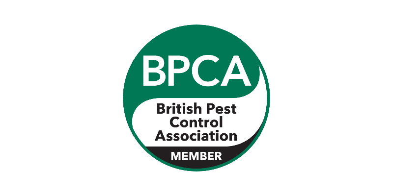Pest Control Service Edinburgh
