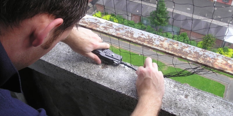 Bird Control Service Aberdeen