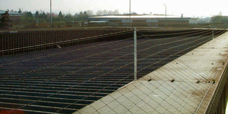 Bird Control Service Aberdeen