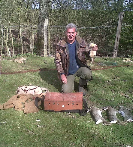 Pest Control Services