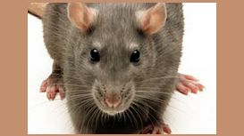 Rat & Pest Control Reading