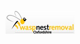 Wasp Nest Removal Oxfordshire